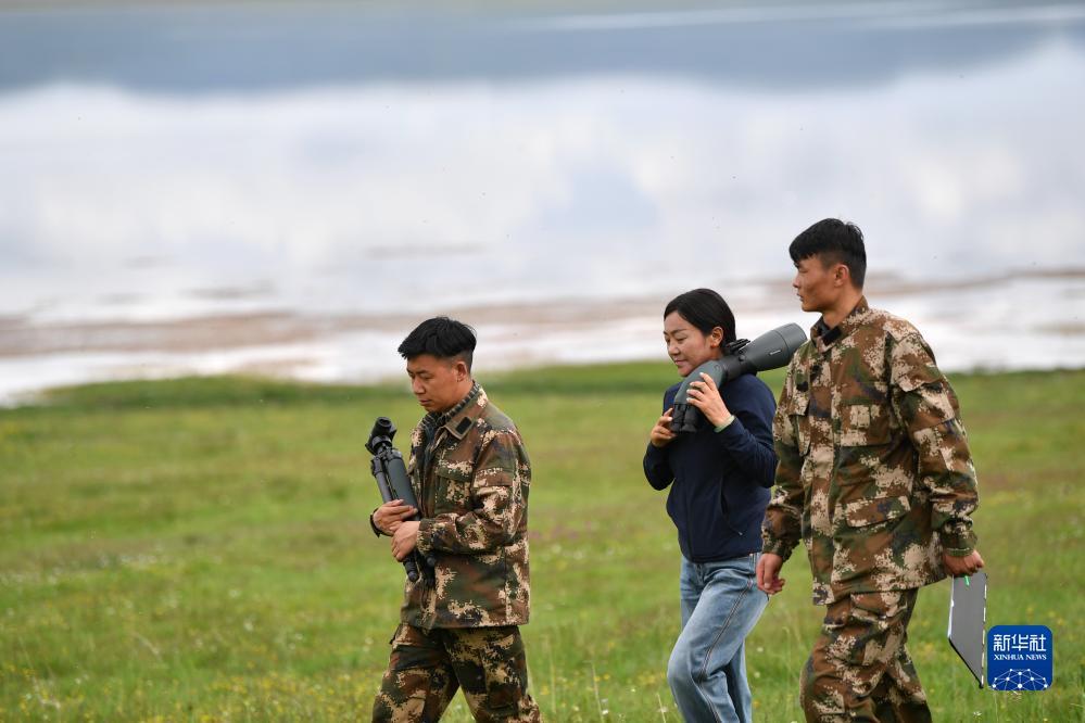 博狗游戏注